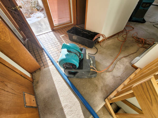 Best Fire Damage Restoration  in Ama, LA