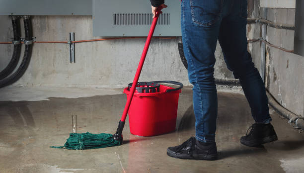 Best Flood damage cleanup  in Ama, LA