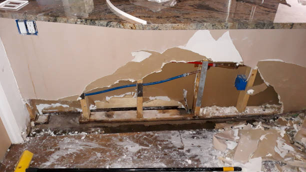 Best Flood restoration services  in Ama, LA