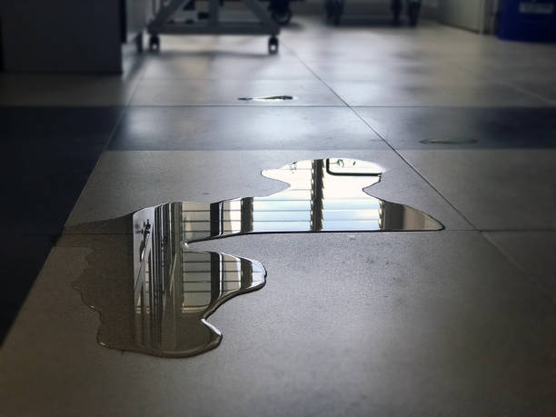Water damage restoration process in LA