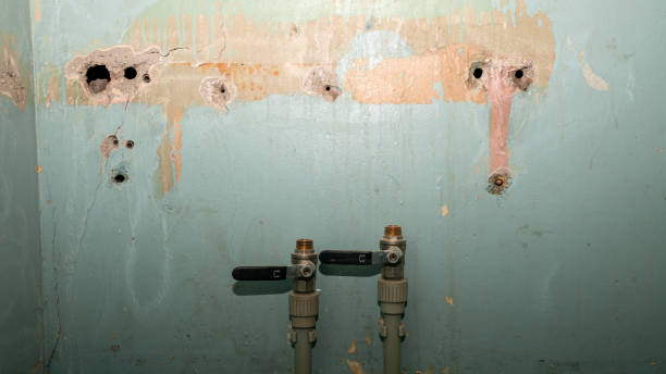 Best Water damage restoration cost  in Ama, LA