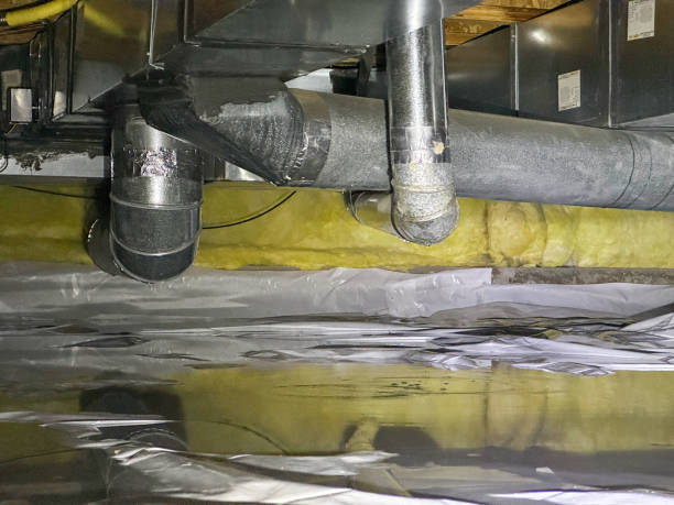 Best Water damage cleanup near me  in Ama, LA