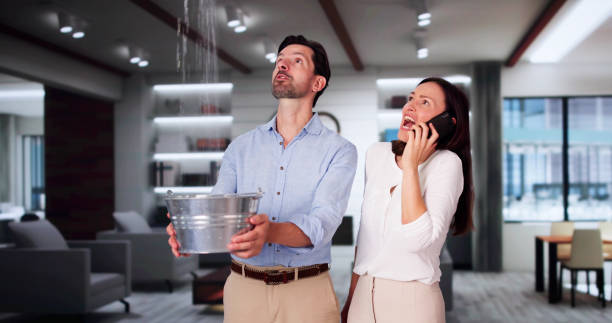  Ama, LA Water damage restoration Pros